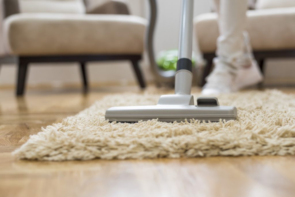 Spring Cleaning - cleaning the carpet and house