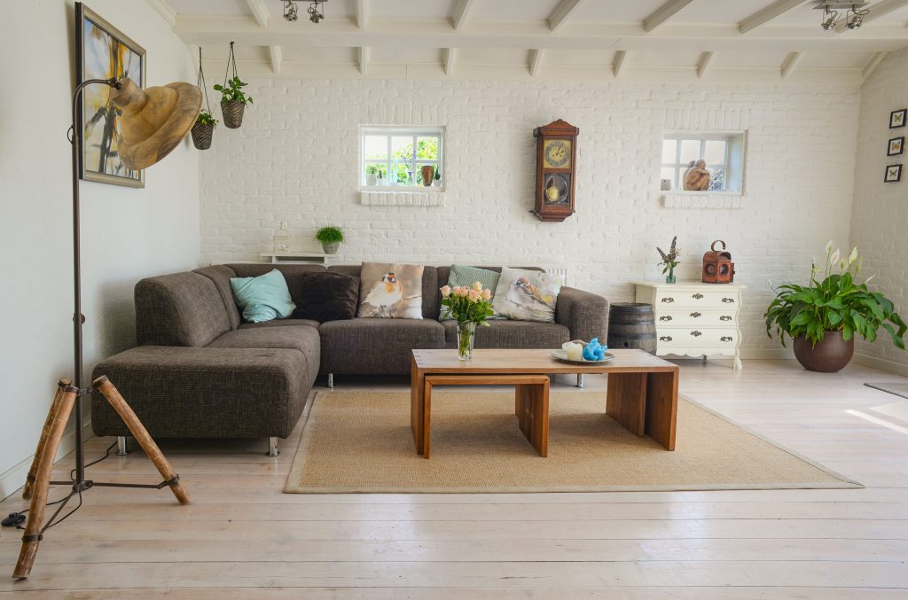 Spacious living room with house plants - Beyond Storage