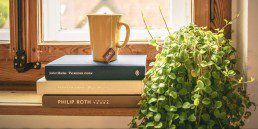 Cup next to a house plant - Home tips - Beyond Storage