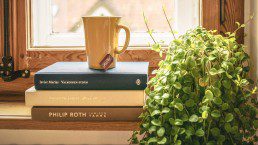 Cup next to a house plant - Home tips - Beyond Storage
