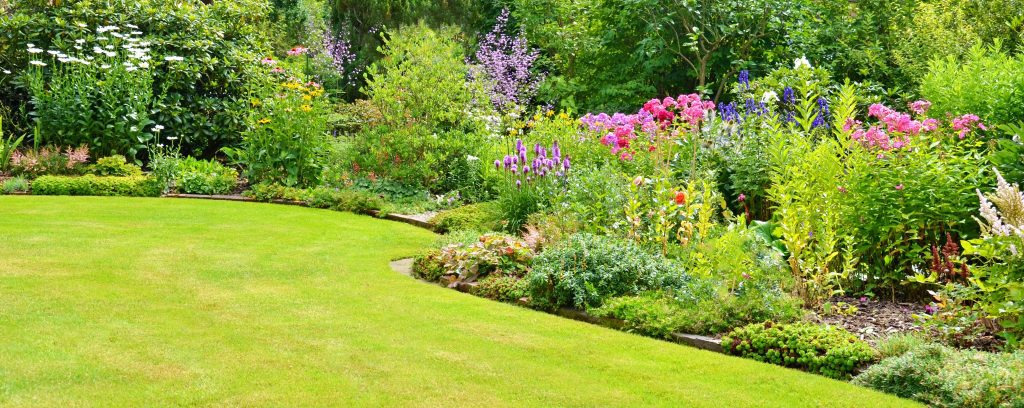 Colourful flower bed - Get your garden bright for summer - Beyond Storage