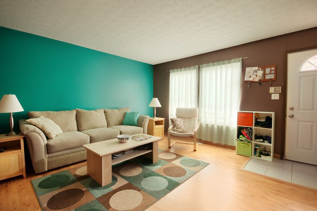 Teal and Brown Family Room - clear from clutter - Beyond Storage