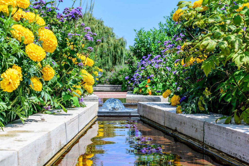 Vibrant water feature - Brighten up your Garden! - Beyond Storage