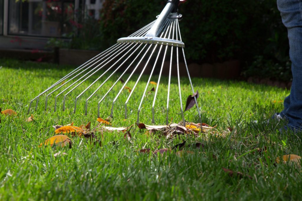 Clearing up the remaining leaves for summer - Beyond Storage