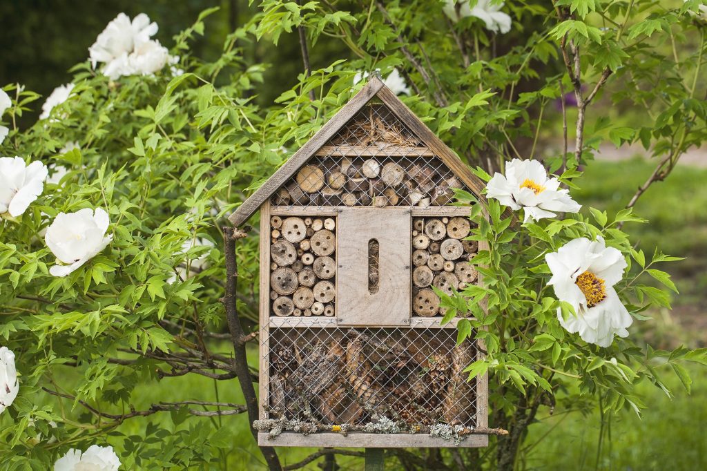 Insect house bee house