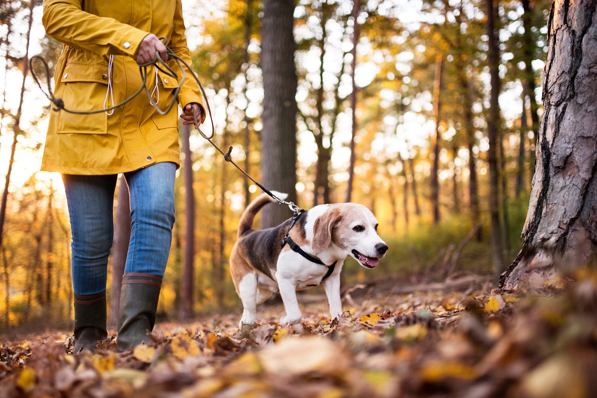 Moving to the countryside - making the most of the outdoors with self-storage.