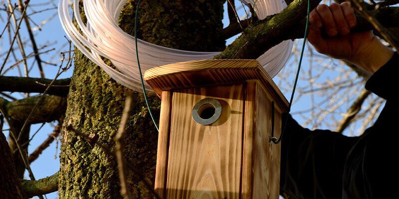 nest box maintenance