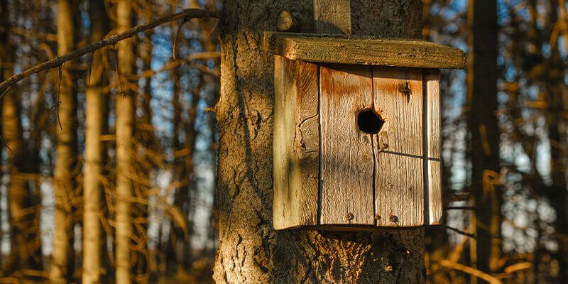 wooden small entrance birdhouse nest box